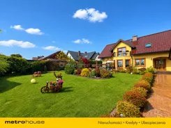 SDPODI639 - zdjęcie nr 1