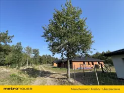 SDTOJA328 - zdjęcie nr 4