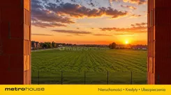 SDSIDU289 - zdjęcie nr 1