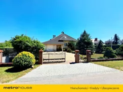 SDCANI416 - zdjęcie nr 1