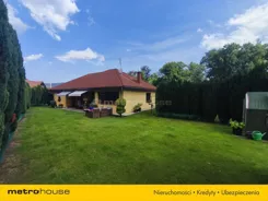 SDPOTE768 - zdjęcie nr 0
