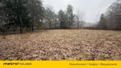 SDCUMY517 - zdjęcie nr 4