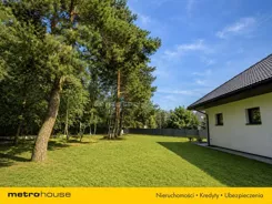 SDZATE766 - zdjęcie nr 0