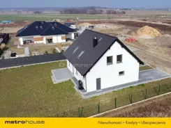 SDNANI132 - zdjęcie nr 0