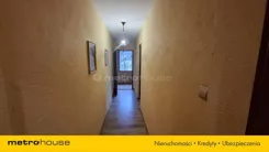 SDDIZU879 - zdjęcie nr 2