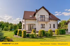 SDJINO148 - zdjęcie nr 1