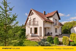 SDJINO148 - zdjęcie nr 2