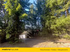 MUZA536 - zdjęcie nr 4