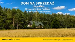 SDCEGY403 - zdjęcie nr 1