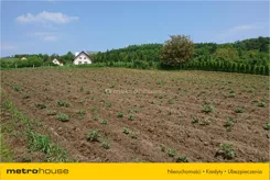 FIPA259 - zdjęcie nr 3