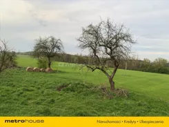 GUGE911 - zdjęcie nr 0