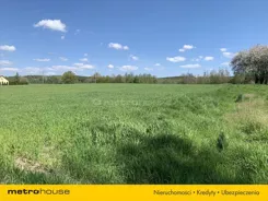 GUGE911 - zdjęcie nr 4