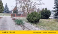 SDLAPY315 - zdjęcie nr 1