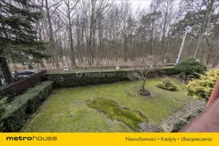 BILY128 - zdjęcie nr 0