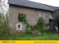 RAGI483 - zdjęcie nr 0