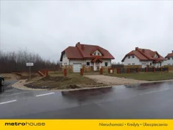 ZAPA228 - zdjęcie nr 4