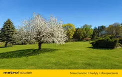 SDJIPA371 - zdjęcie nr 1