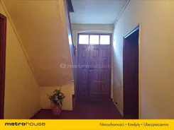 DIKI147 - zdjęcie nr 0