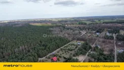 SGROLA877 - zdjęcie nr 2