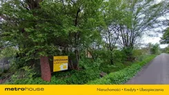 LEWY959 - zdjęcie nr 0