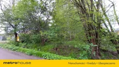 LEWY959 - zdjęcie nr 4