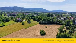 SGJOJA959 - zdjęcie nr 0