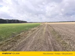 SGBEZO187 - zdjęcie nr 4