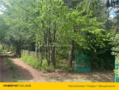 FOFO991 - zdjęcie nr 2