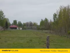 SGNIJA473 - zdjęcie nr 2