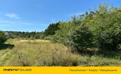 KOSA694 - zdjęcie nr 1