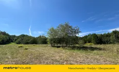 KOSA694 - zdjęcie nr 3