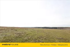 NOJI659 - zdjęcie nr 1