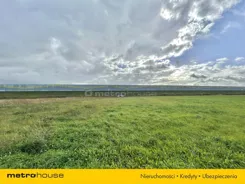 SGLIZA756 - zdjęcie nr 3