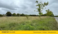 SGLAZY853 - zdjęcie nr 0
