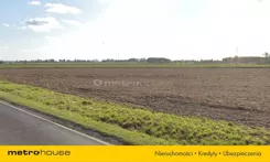 KOTU186 - zdjęcie nr 0