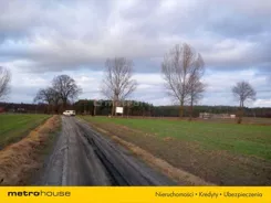KOTU186 - zdjęcie nr 3