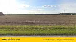 TOXU225 - zdjęcie nr 3