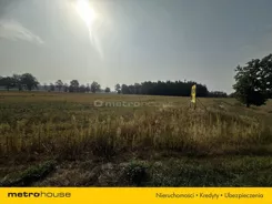SGNAZU169 - zdjęcie nr 0