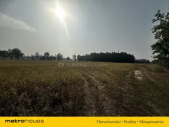 SGNAZU169 - zdjęcie nr 3