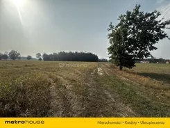 SGNAZU169 - zdjęcie nr 4