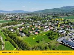 JELY371 - zdjęcie nr 0