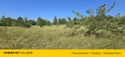 SGPUVO381 - zdjęcie nr 3