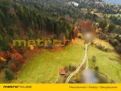 SGCOLE885 - zdjęcie nr 0