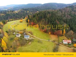 SGCOLE885 - zdjęcie nr 4
