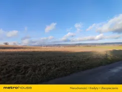 SGMURY250 - zdjęcie nr 3