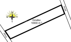KOLI843 - zdjęcie nr 3