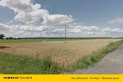 GOJY006 - zdjęcie nr 1