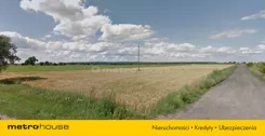 SGROPO828 - zdjęcie nr 3