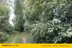 LIBY758 - zdjęcie nr 2