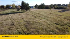 SGRALA509 - zdjęcie nr 3